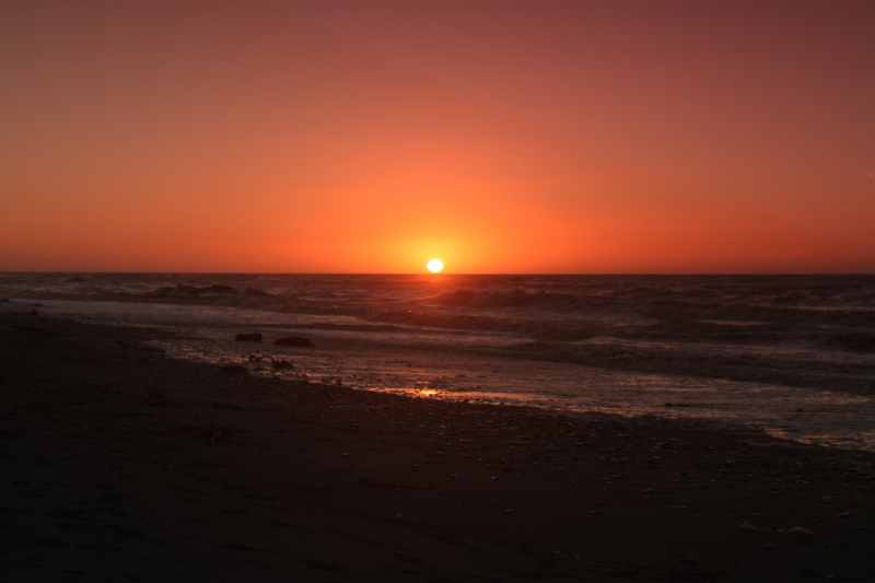 Nieuw-Zeeland 2011 - 1370